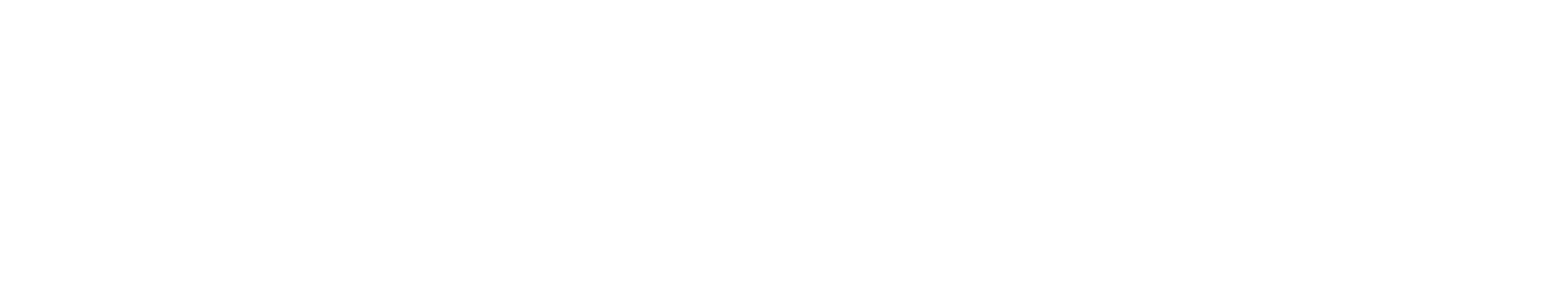 Paul Vinci Insurance